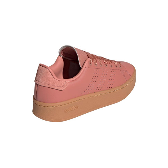 Adidas Advantage bold